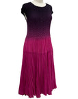 Vanité PLEAT OMBRE DRESS