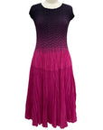 Vanité PLEAT OMBRE DRESS