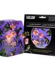 Modgy LANTERN HUMMINGBIRD