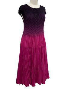 Vanité PLEAT OMBRE DRESS